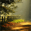 8044.gif