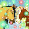 6.gif