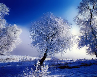 winter001.jpg