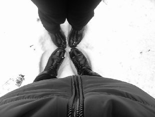 IMG1120A.jpg