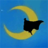 2.gif