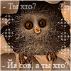 170034.gif