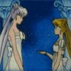 7813.gif
