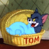 1.gif