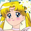7812.gif