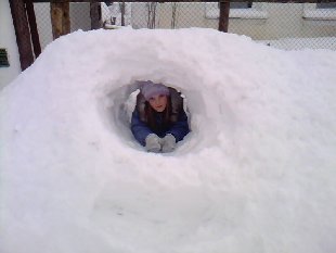 IMG1867A.jpg