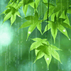 1859_pic.gif
