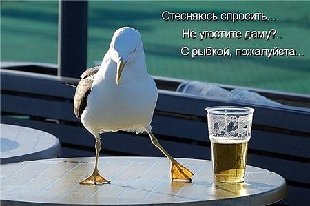 x8dd39c96.jpg