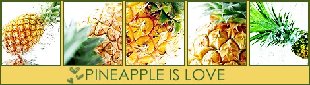 0_1e4b0_562bd3c6_L.jpg