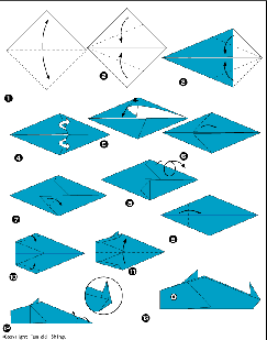 delfin-shema.gif