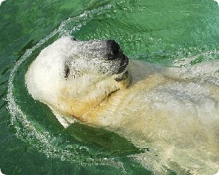 726846523-de90f12c3d.jpg