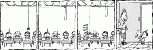  (3).gif