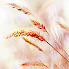 nature210.jpg