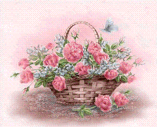 2.gif