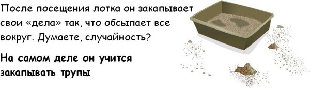 .jpg